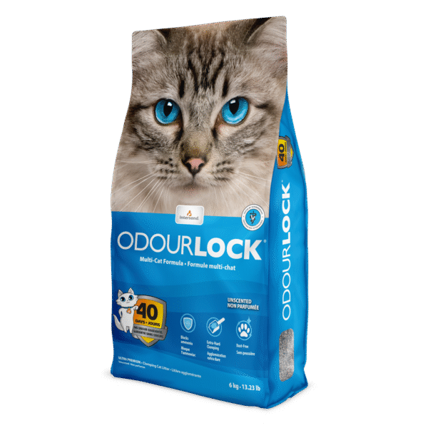 Indersand Odourlock Ultra Premium Clumping Άμμος Γάτας Χωρίς Άρωμα 6kg