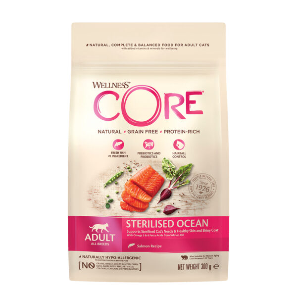 WELLNESS CORE Adult Cat Sterilized Salmon 300gr