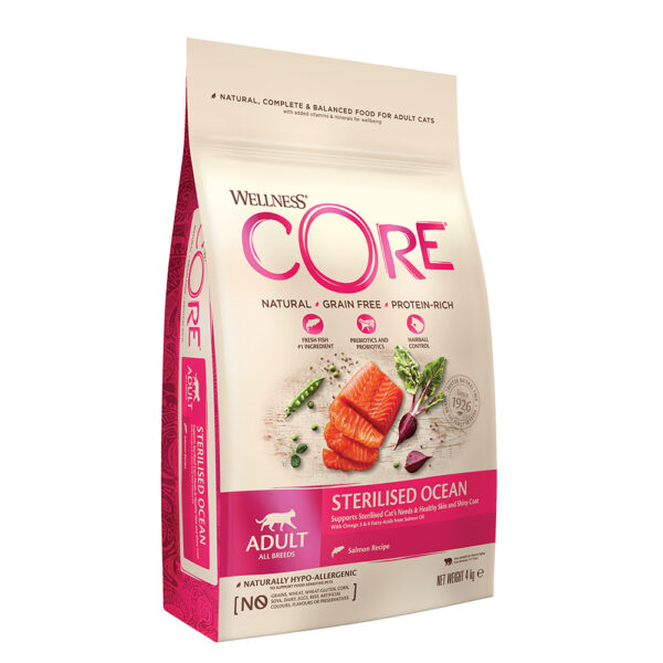 WELLNESS CORE Cat Sterilized Salmon 4kg