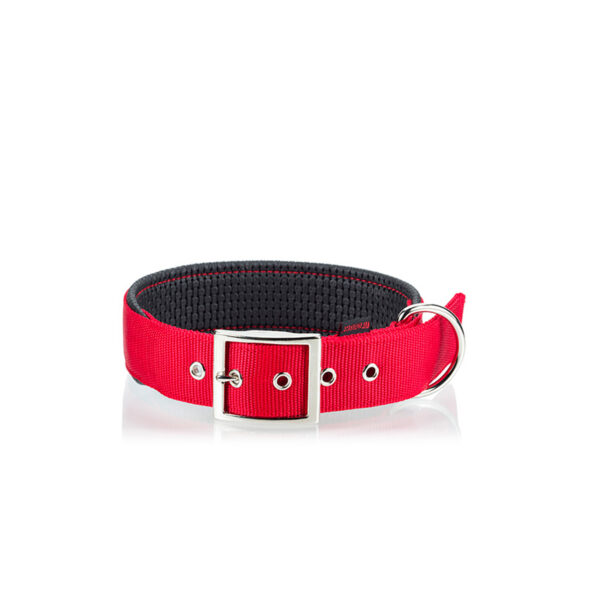 PET INTEREST COLLAR NEOPRENE METAL BUC RED M 2 X 50CM