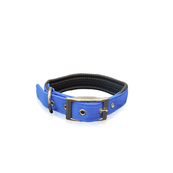 PET INTEREST COL.NEOPRENE METAL BUC BLUE L 2.5 X 50CM