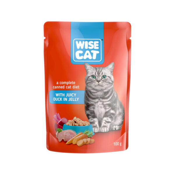 WISE CAT WITH JUICY DUCK IN JELLY 100gr
