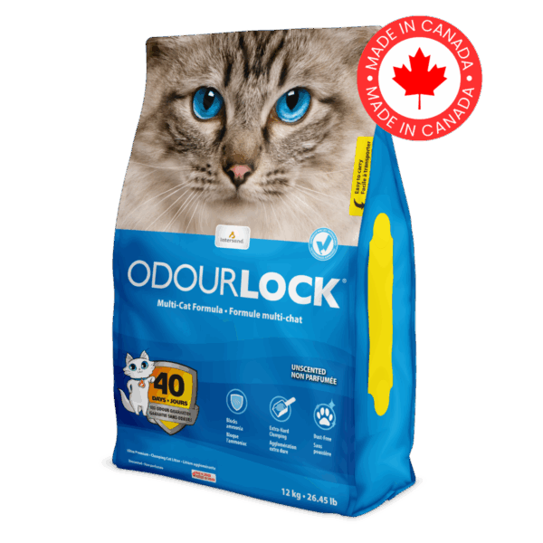 Indersand Odourlock Ultra Premium Clumping Άμμος Γάτας Χωρίς Άρωμα 12kg