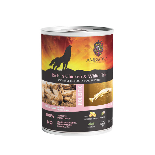 Ambrosia Wet Food Growth Dog Chicken & White Fish with Butternut Squash 395gr
