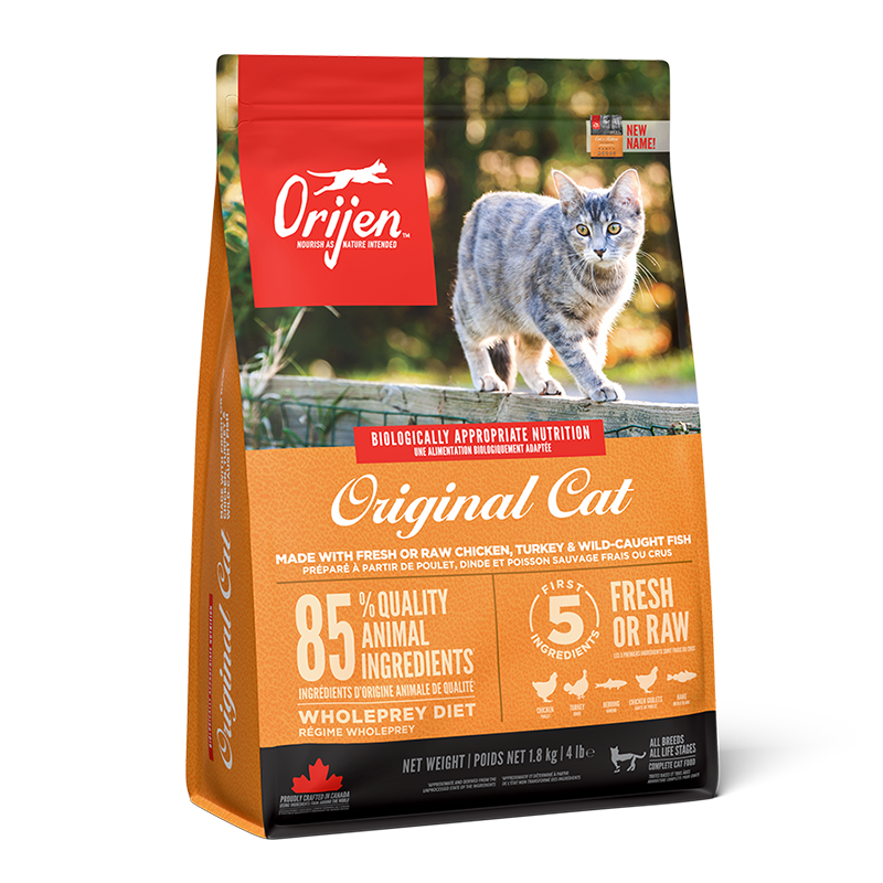 cat-original-front